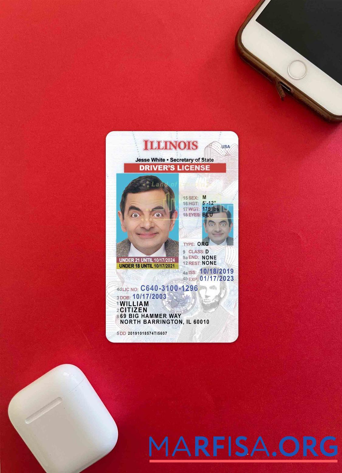Blank USA Illinois driving license under 21 photolook real example